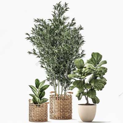现代植物盆栽3D模型下载